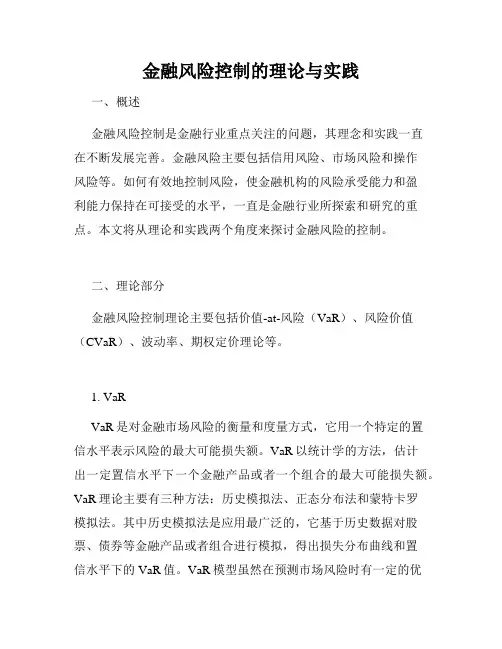 金融风险控制的理论与实践