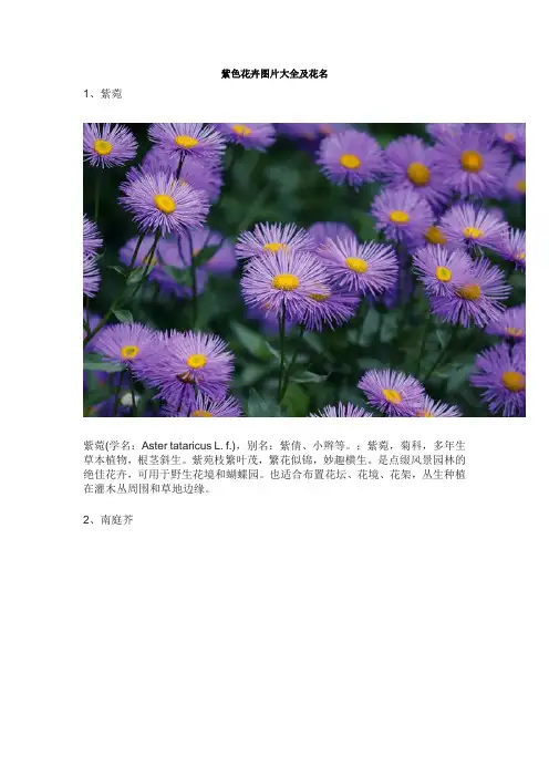 紫色花卉图片大全及花名