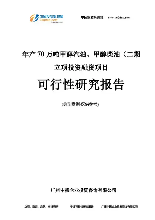 年产70万吨甲醇汽油、甲醇柴油(二期融资投资立项项目可行性研究报告(中撰咨询)