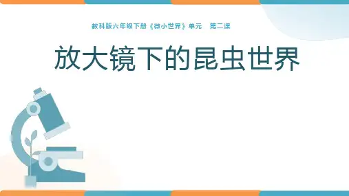 教科版科学六年级下册1.2《放大镜下的昆虫世界》课件
