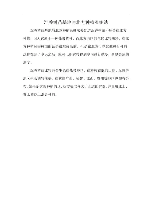 沉香树苗基地与北方种植温棚法