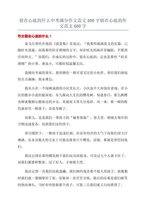 留在心底的什么中考满分作文范文800字留在心底的作文范文600字