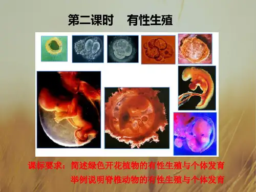 高中生物必修二2.2 第2课时 有性生殖教学课件