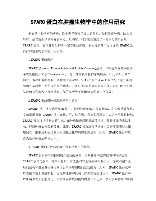 SPARC蛋白在肿瘤生物学中的作用研究