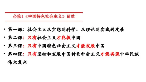 新教材《中国特色社会主义》人教统编版12