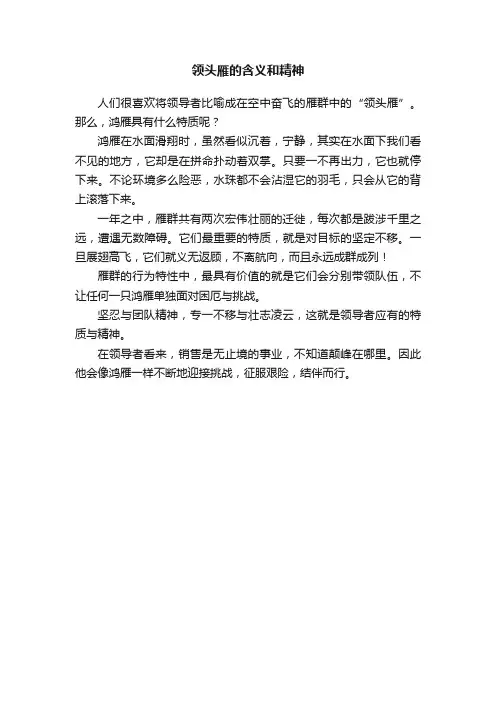 领头雁的含义和精神