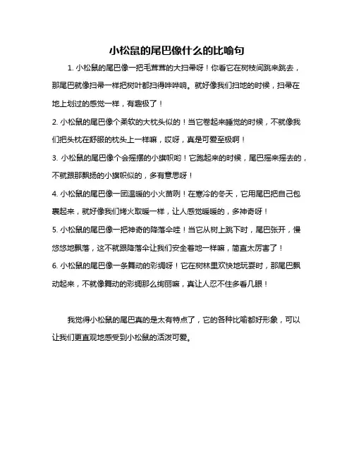 小松鼠的尾巴像什么的比喻句