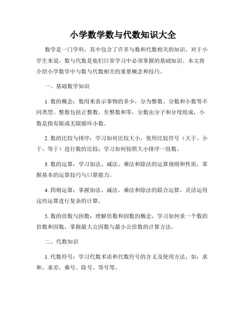 小学数学数与代数知识大全