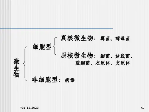 包装工艺学PPT课件