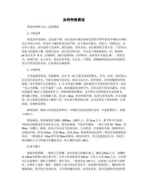 如何种植黄连