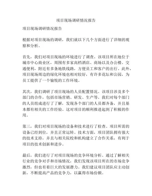 项目现场调研情况报告