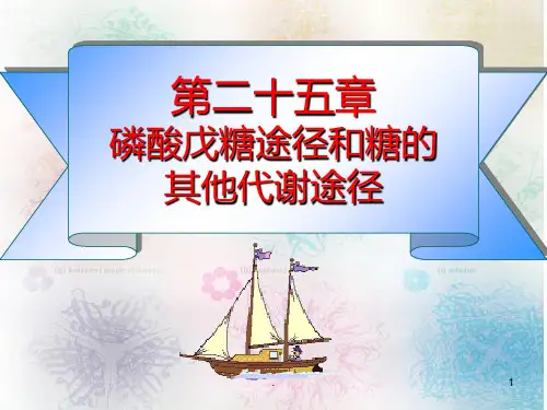第25章-戊糖途径PPT课件