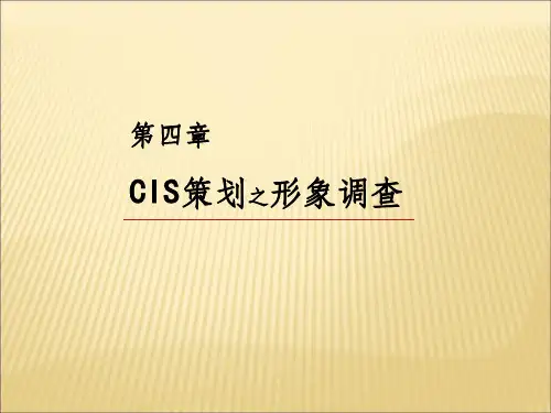 CIS策划之形象调查ppt课件
