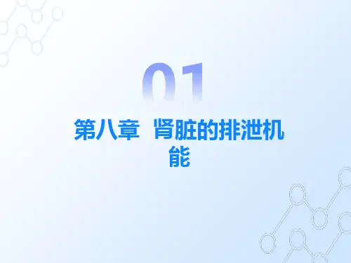 生理学肾脏功能
