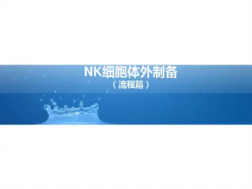 人NK细胞体外扩增课件