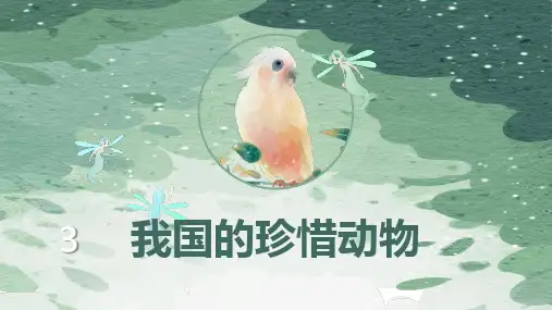 我国的珍惜动物ppt课件
