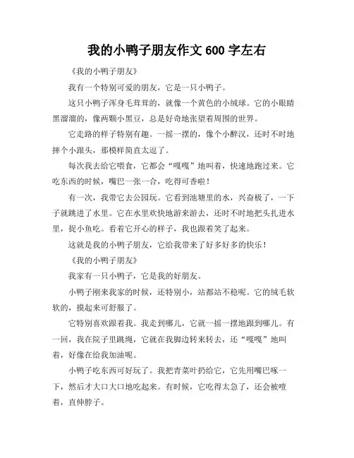我的小鸭子朋友作文600字左右