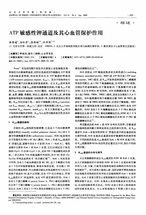 ATP敏感性钾通道及其心血管保护作用
