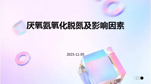 厌氧氨氧化脱氮及影响因素的