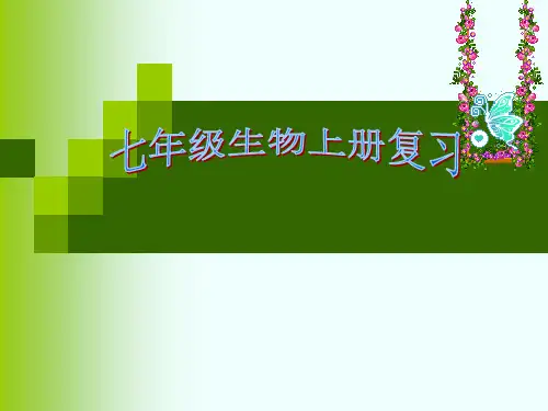 七年级生物上册总复习课件共120张PPT