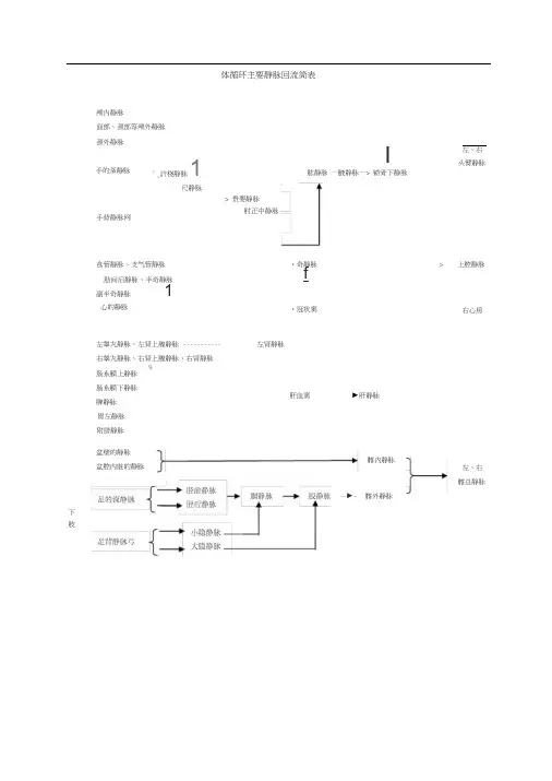 体循环主要静脉回流简表