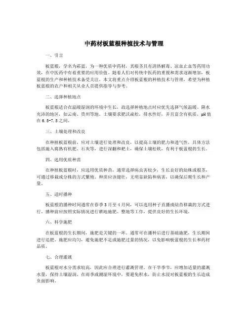 中药材板蓝根种植技术与管理