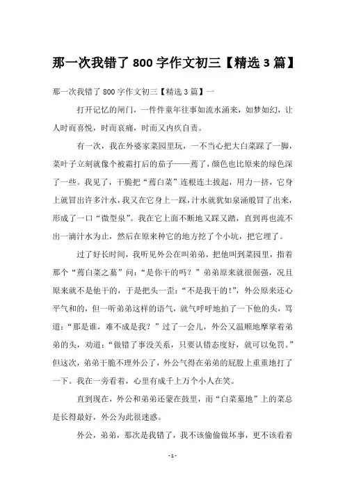 那一次我错了800字作文初三【3篇】