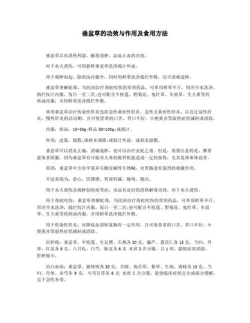 垂盆草的功效与作用及食用方法