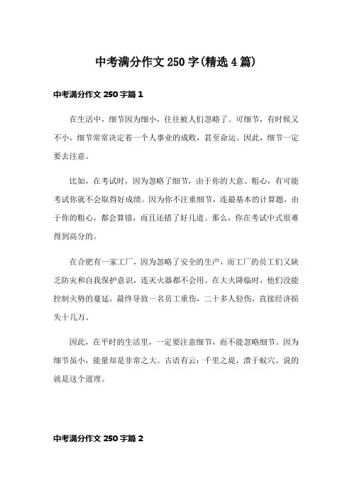 中考满分作文250字(精选4篇)