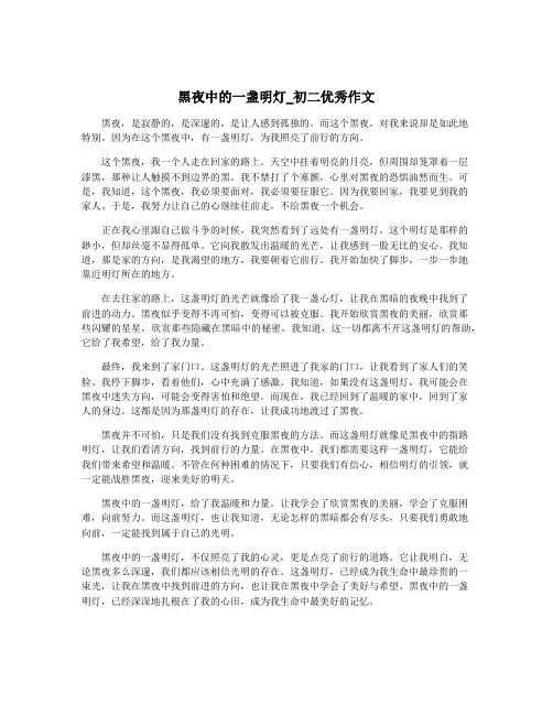 黑夜中的一盏明灯_初二优秀作文