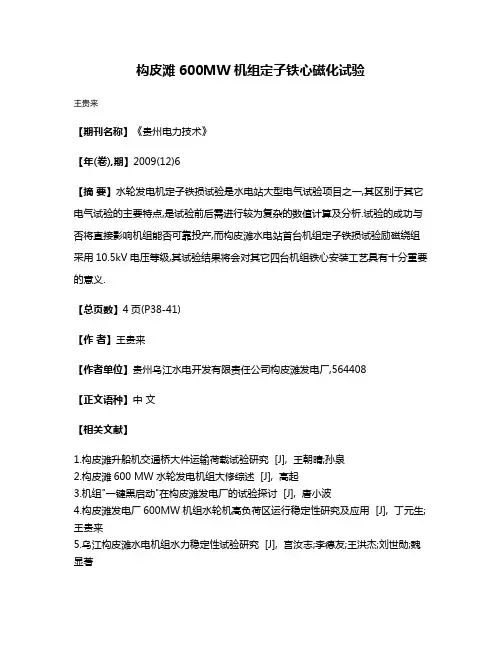 构皮滩600MW机组定子铁心磁化试验