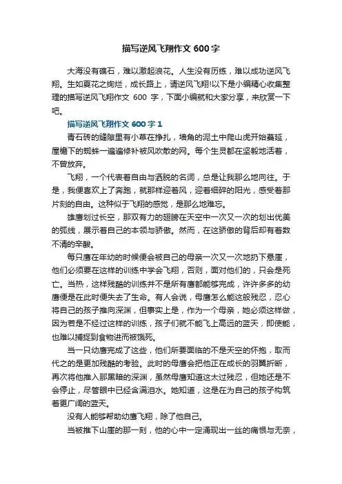 描写逆风飞翔作文600字5篇