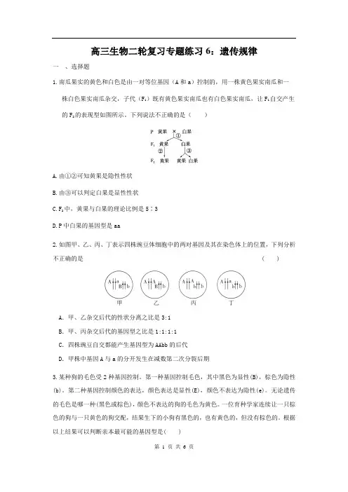 【高中生物二轮专题】《6遗传规律》练习及详解