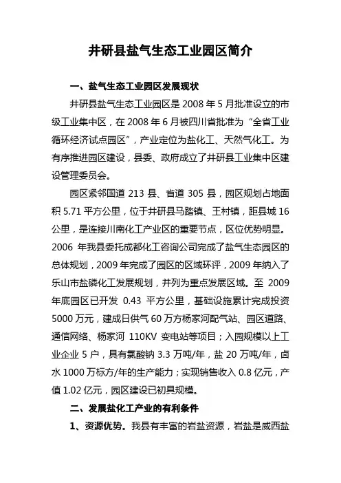 井研县盐气生态工业园区简介