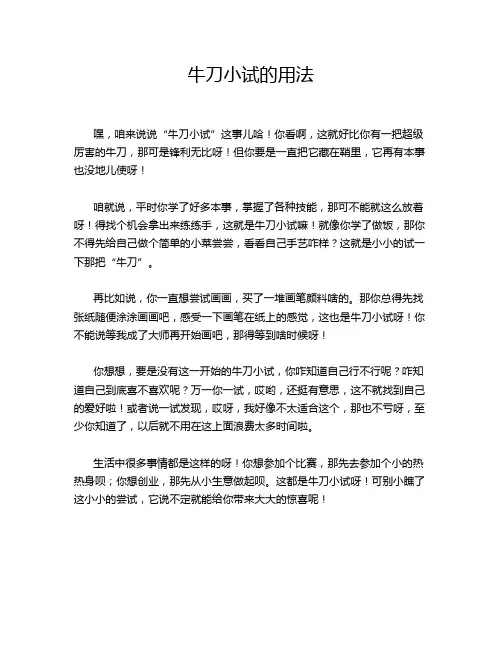 牛刀小试的用法
