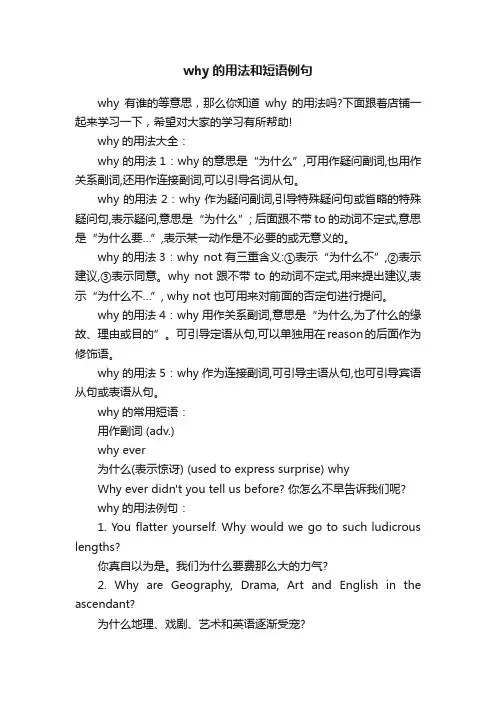 why的用法和短语例句