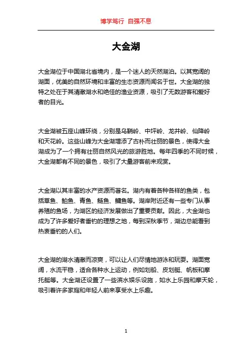 大金湖_精品文档