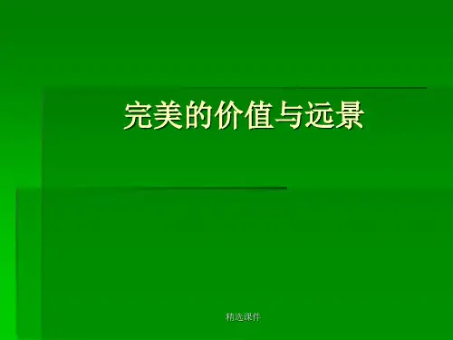 《完美的价值与远景》