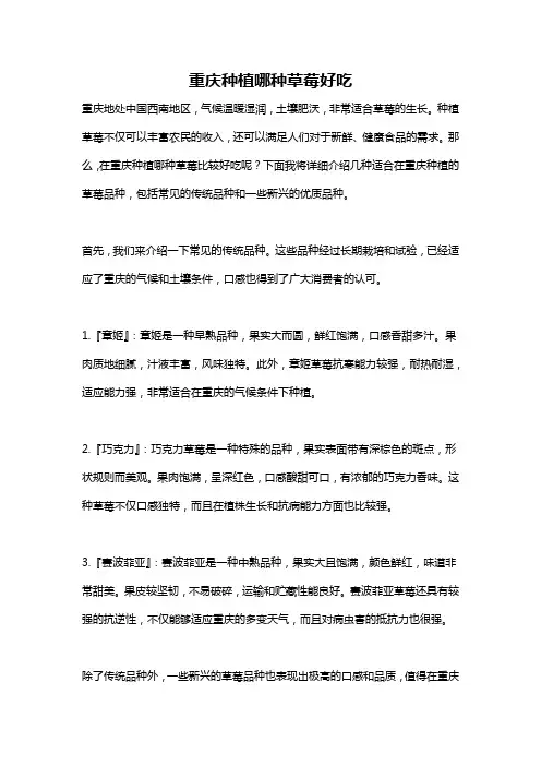 重庆种植哪种草莓好吃