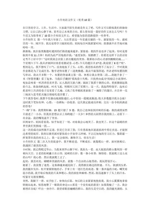 小升初语文作文(优秀10篇)