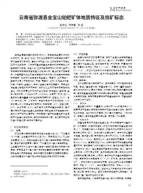 云南省弥渡县金宝山铂钯矿体地质特征及找矿标志