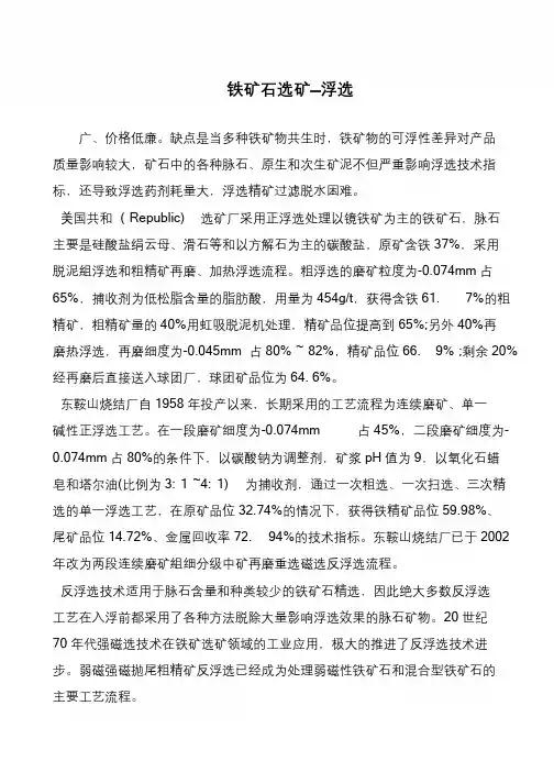 铁矿石选矿—浮选