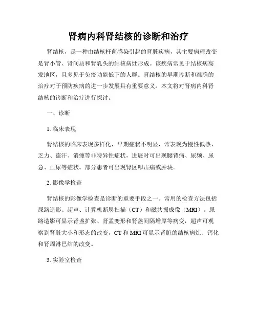 肾病内科肾结核的诊断和治疗