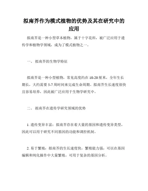 拟南芥作为模式植物的优势及其在研究中的应用