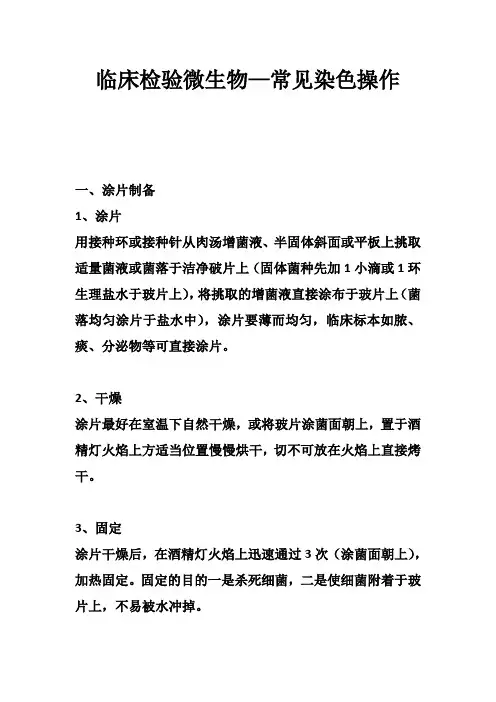 临床检验——微生物 常见染色操作
