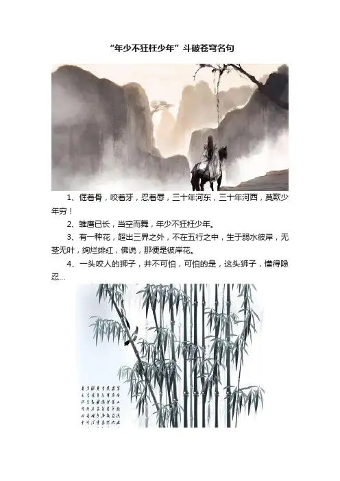 “年少不狂枉少年”斗破苍穹名句