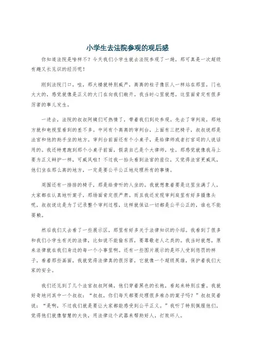 小学生去法院参观的观后感