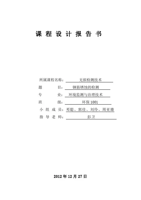 钢筋锈蚀检测无损检测报告无损设计报告