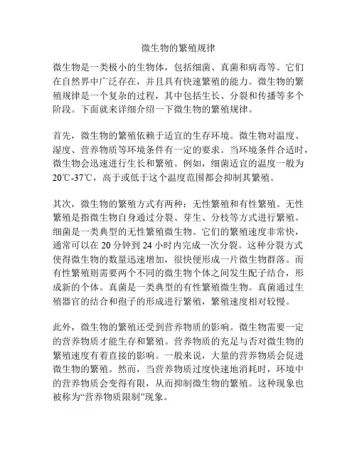 微生物的繁殖规律