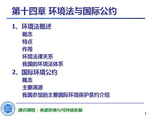 91环境法、国际公约、排污权.ppt